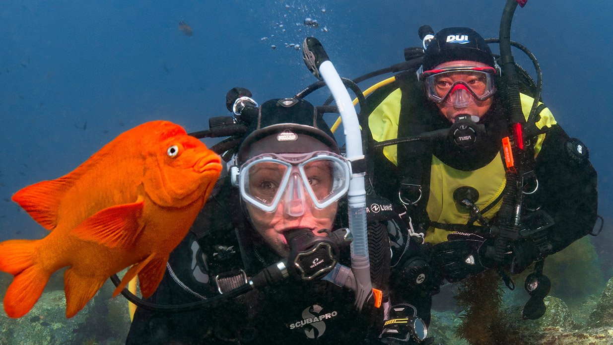 Leer duiken bij de PADI instructeur van Onderwatersport Nijmegen. Advanced Open Water Diver.