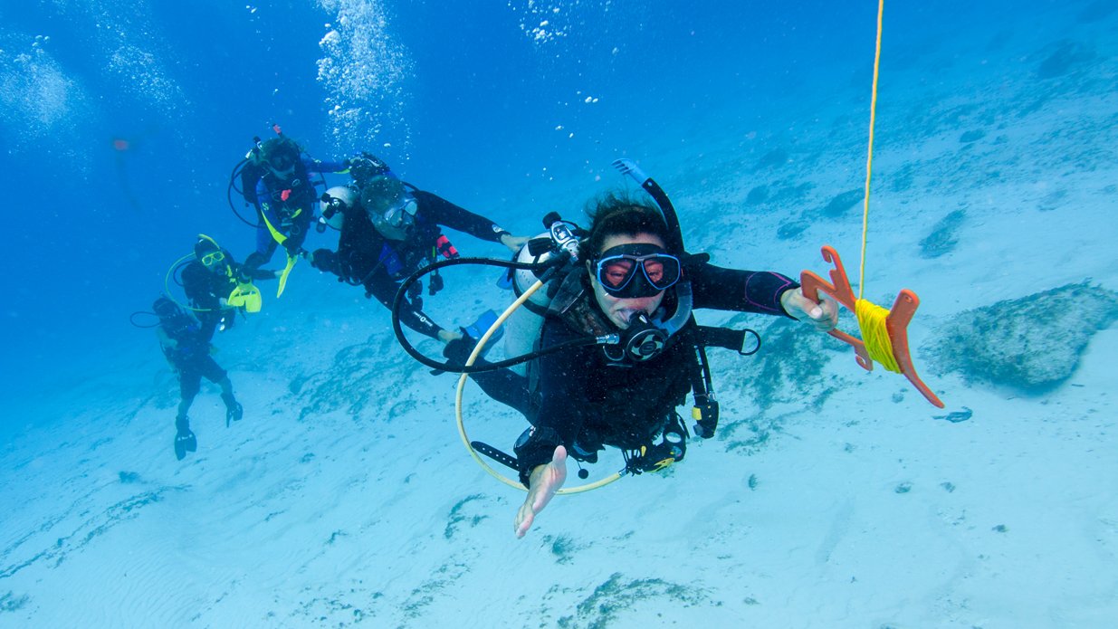 Leer duiken bij de PADI instructeur van Onderwatersport Nijmegen. Doe de specialty.